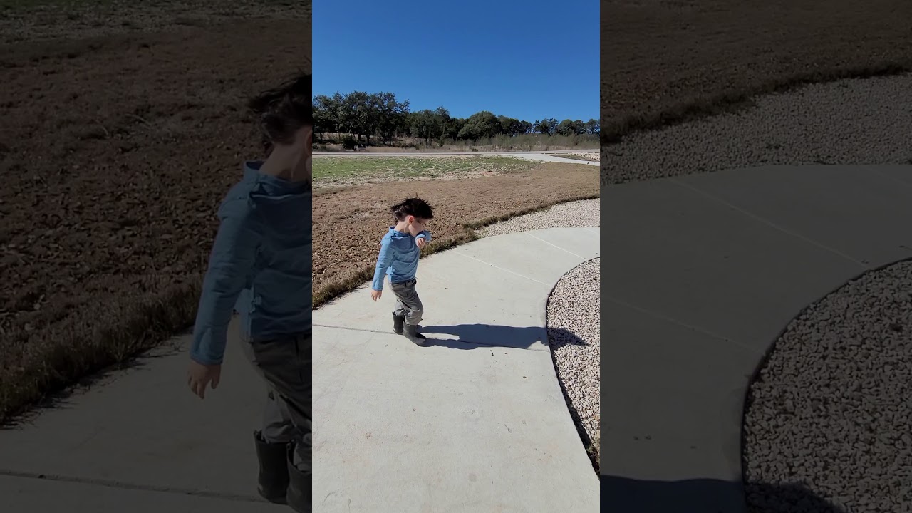 Stihl BGA 100 Torture Tests