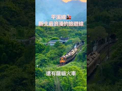 【新北】走一次就忘不了！1分鐘帶你搭完整條平溪線???? #平溪 #新北景點 #火車一日遊 #旅遊 #short #十分瀑布 #travel #taiwan