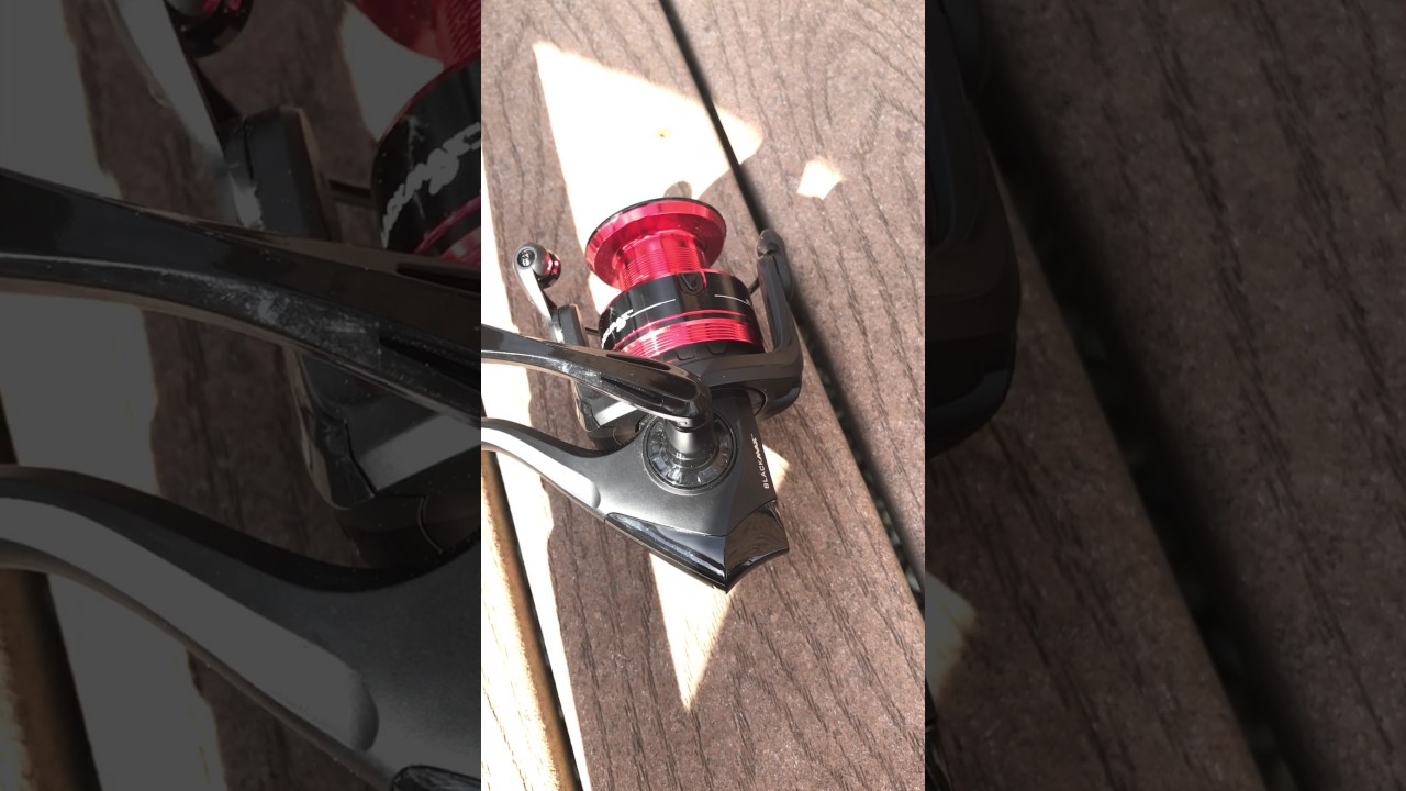 baitcasting reel is stiff Does this seem too stiff and noisy for a brand new reel just greased and  oiled?