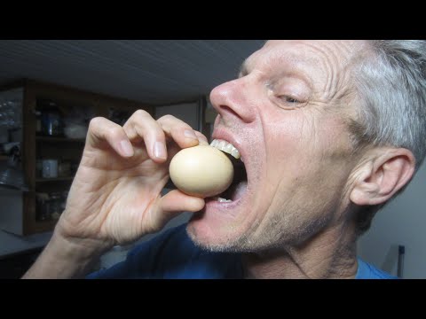 Eating Egg Shells for Calcium, Glucosamine Chondroitin, healthy bones and teeth!