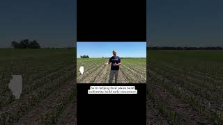 No-Till Field Corn Update West-Central IL @PivotBio