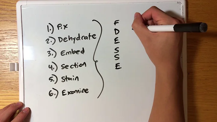 Memorize TEM Cell Preparation Steps