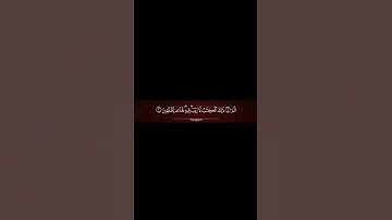 الٓمٓ ذلك الكتاب لا ريب فيه هدى للمتقين #سورة_البقرة #علاء_عقل