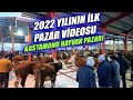 KALDIĞIMIZ YERDEN DEVAM EDİYORUZ | KASTAMONU HAYVAN PAZARI 2022