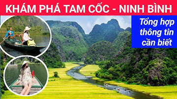 🔴Khám phá Tam Cốc Ninh Bình mùa lúa chiêm | Di sản thế giới Tràng An | Cố đô Hoa Lư | Xê Dịch TV