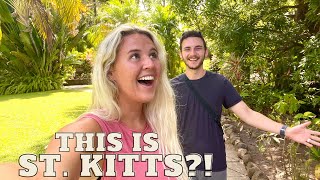 WORLD'S RAREST RAINFOREST! (St. Kitts & Nevis)