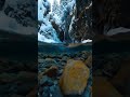 صوت خرير الماء مع تغريد الطيور تصوير تحت الماء
