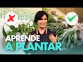 Cultiva TUS PROPIAS PLANTAS en casa🌱 - Guía completa