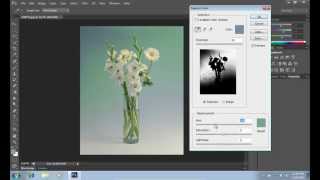 How to Use Color Replacement Tool in Photoshop CS6