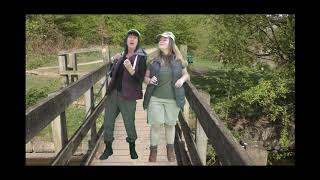 Going on a Bear hunt song.  Bear hunt song with Sue Baldwin.