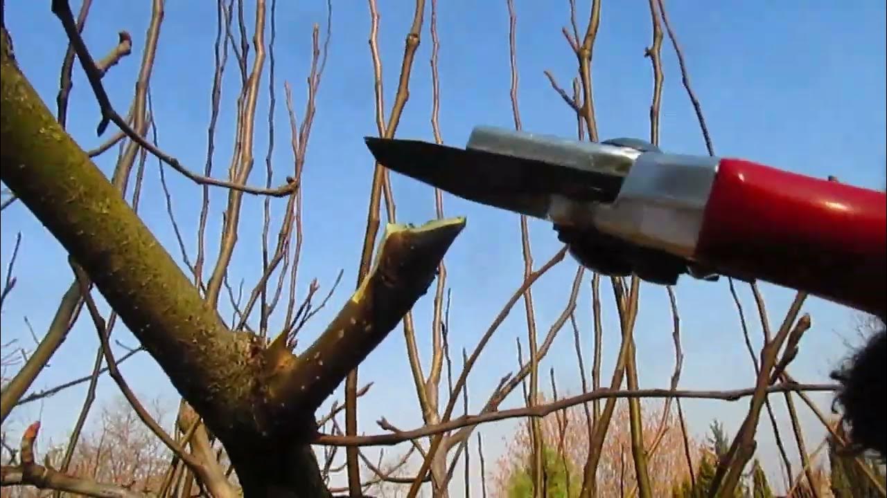 Как удержать грушу на уровне 2м. - YouTube