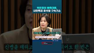 내란특검 윤석열 구속적부심 기각하자마자 곧바로 구속기소 했다.  박은정 조국혁신당 의원 #박은정 #윤석열 #내란특검