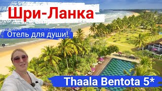 Шри-Ланка. Отель Thaala Bentota 5*. Уютный отель для души и романтического отдыха