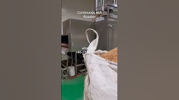 continuous nut roaster| belt type roaster| #peanut