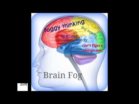 Are viruses controlling your brain?, From YouTubeVideos