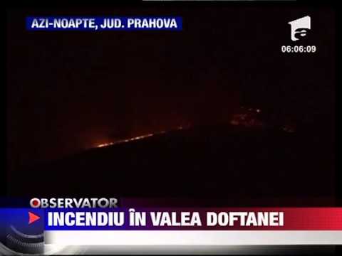 Incendiu de vegetatie in Valea Doftanei 23 NOIEMBRIE 2011