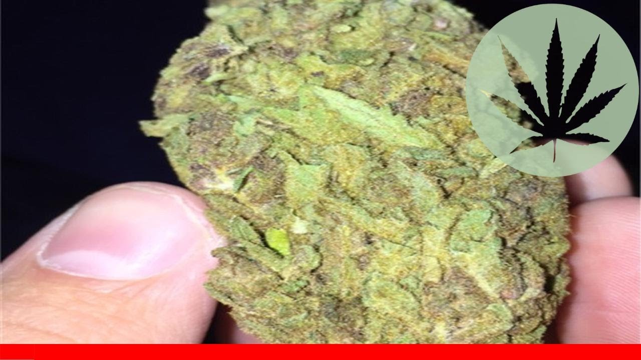 Very Berry Haze - All About This Strain