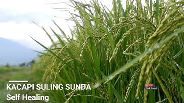 SUNDANESE INSTRUMENTAL MUSIC - Kacapi Suling Sunda - Self Healing