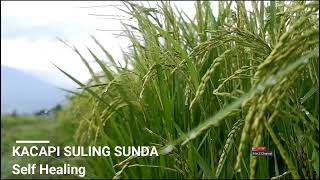 SUNDANESE INSTRUMENTAL MUSIC - Kacapi Suling Sunda - Self Healing screenshot 5