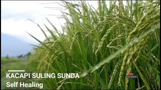 Download lagu SUNDANESE INSTRUMENTAL MUSIC - Kacapi Suling Sunda - Self Healing