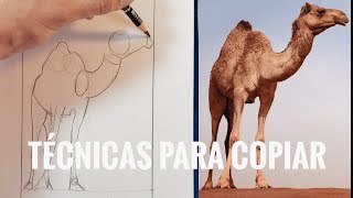 Aprende a COPIAR TODO lo que VES 'EDICIÓN ANIMALES'