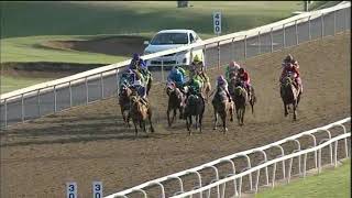 Vidéo de la course PMU PRIX HOLLYWOODBETS BRIGHT FUTURE FM 76 HANDICAP