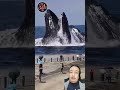 شاهد الظهور والصوت المرعب للحوت الأزرق على الشاطئ