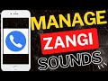كيفية إدارة الصوت على تطبيق Zangi 