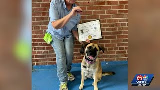 New Leash on Life program gives shelter dogs second chance in Louisiana prisons