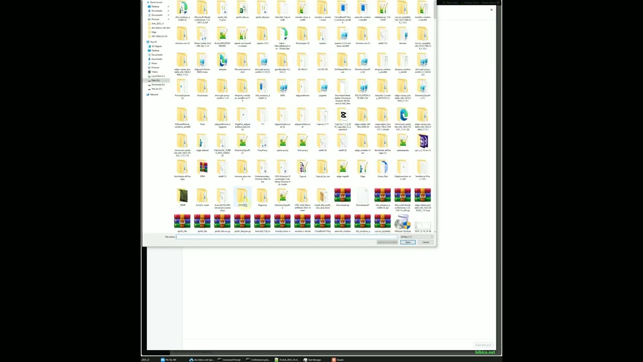 dns.bibica.net Cloudflare DNS rewrites to rocket.net