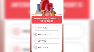 Question #50 | Brain Map Anatomy