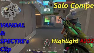 【VALORANT】VANDAL &amp; SPECTRE Highlight #202 【Alice】