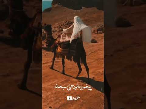    حاج عبدالرضا هلالی نماهنگ یا محمد میلاد پیامبر ص