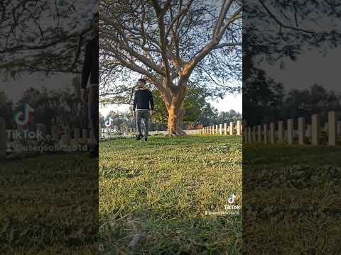 ظلمت قلبى وتقول برىء وسايبنى وحدى وسط الطريق وردة حرمت احبك ابو وديع الغالي