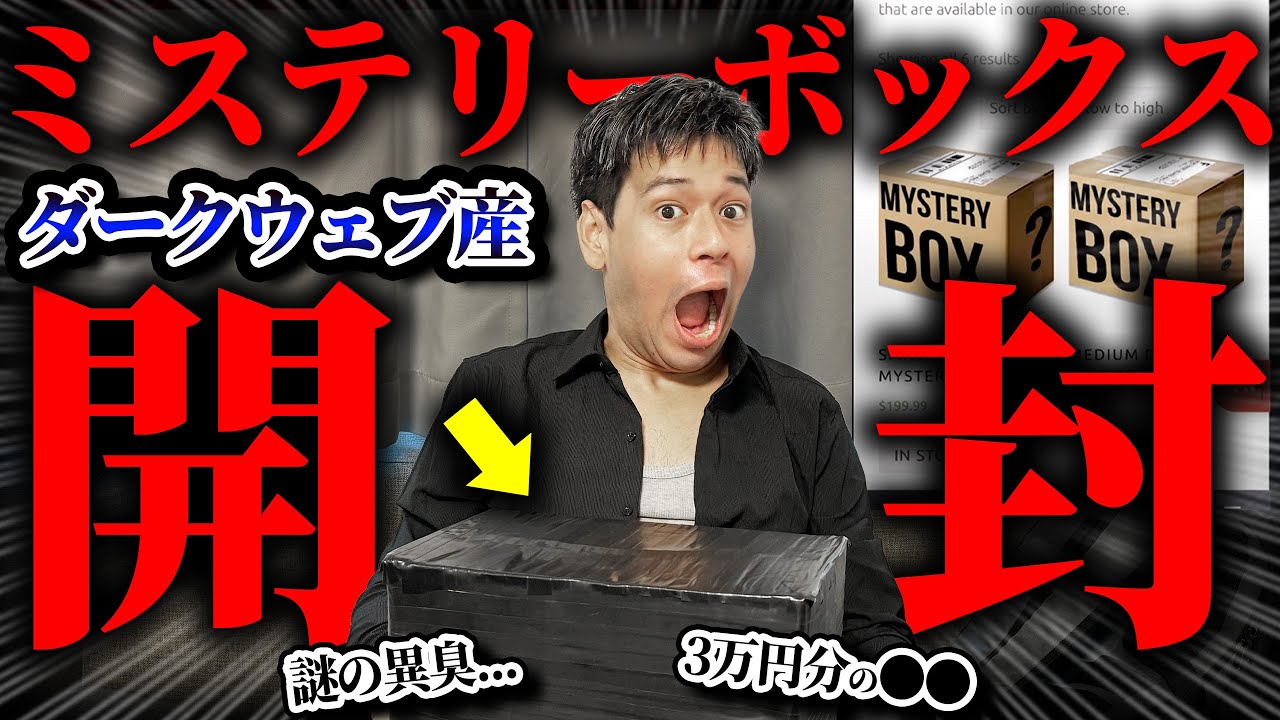 【閲覧注意】ダークウェブで購入したミステリーボックスを開封してみた。【星野ロミ】