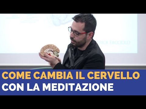 Come cambia il cervello con la meditazione