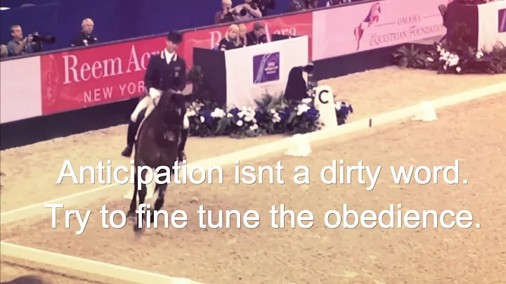 10 Top Tips from British Olympian Carl Hester