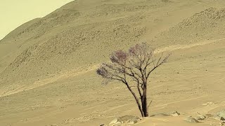 NASA Mars Perseverance Rover Captured New Video Footage of Mars - Sol 1091 | Mars 4k Video | Mars 4k