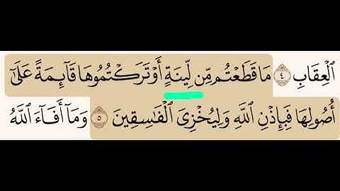 (٨٦) تصحيح تلاوة ما تحته خط - لِيْنَةٍ ( بكسر اللام) وهي النخلة، وليس لَيِّنةٍ (بفتحها وتشديد الياء)