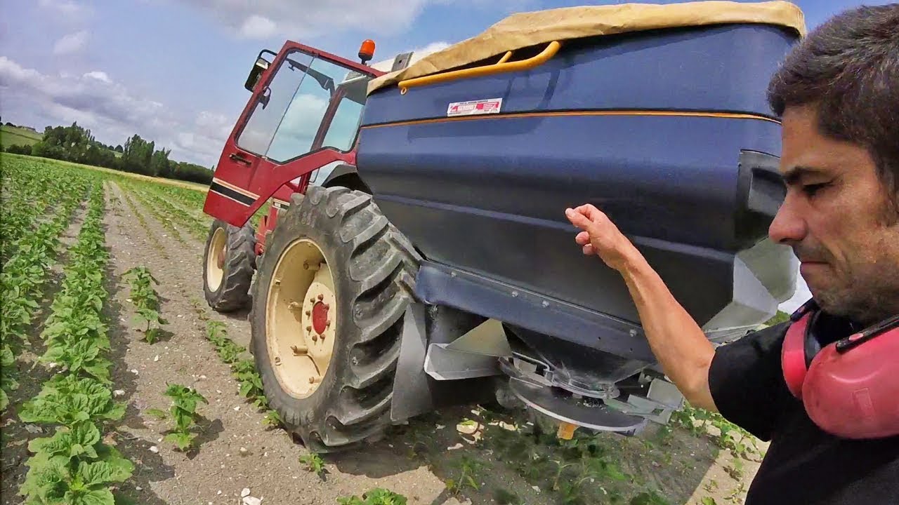 De l'engrais pour le tournesol au bon moment - 2019