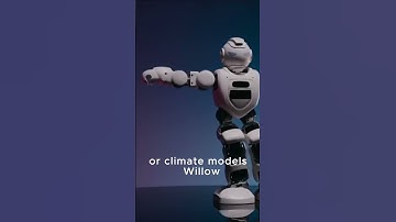 Want a Sustainable Future? Watch Willow