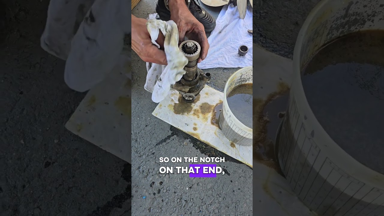 Quickie haul-out and sail drives serviced!