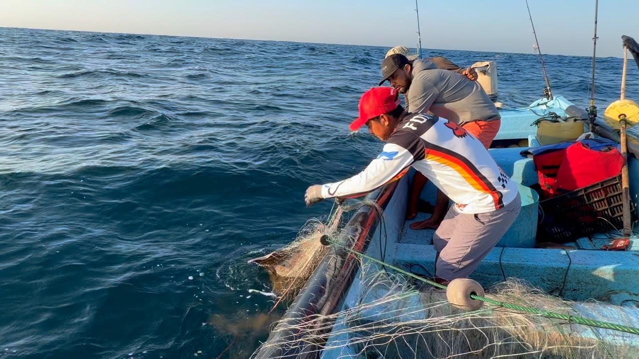 Miren Como Encontramos Esta Red Llena De Peces , Pesca Y Cocina En El Salvador 