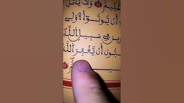 القرآن الكريم تلاوة مقطع من سورة النور بيانه تعالى حب المغفرة لعباده المؤمنين دائما💚🥀 #لايك #اكسبلور