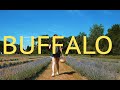 BUFFALO