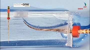 WAVE ONE GOLD / GUTTACORE