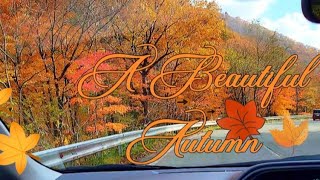 Download Lagu KARYA SENI ALAM DI JALAN TERBUKA/ LAGU YANG AKAN MENYEMBUHKAN APA YANG TAK KAMU BICARAKAN MP3