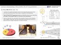 Multi-phase ALE-SPH scheme for Highly Viscous Spreading Phenomena in Severe Accident