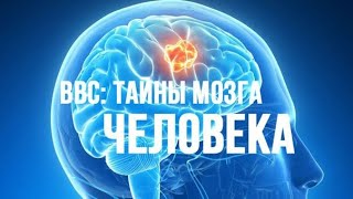 Тайны мозга / Как возникают эмоции