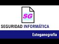 Aprende Esteganografía con SteganPEG en Seguridad Informática I 🔍